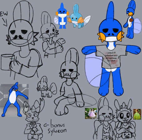Mudkip Doodles
